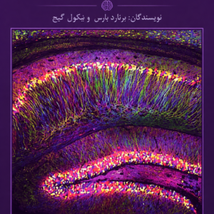 دانلود کتاب مبانی علوم اعصاب شناختی راهنمای مقدماتی Fundamentals of cognitive neuroscience : a beginner’s guide / Bernard Baars, Nicole Gage