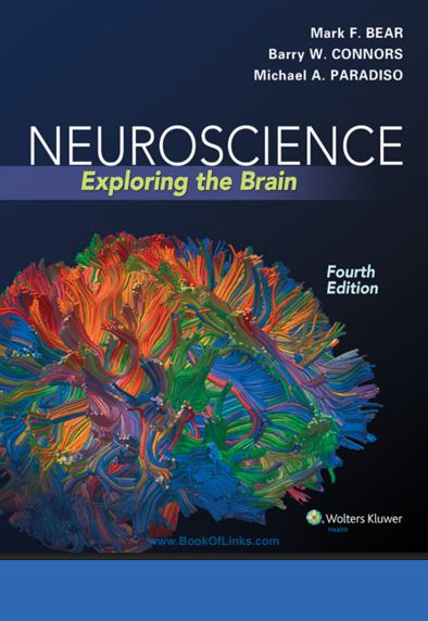 دانلود کتاب علوم اعصاب : کاوش در مغز (Neuroscience: Exploring the Brain - Bear, Connors, Paradiso)